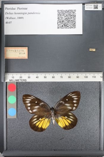 Media type: image;   Entomology 130320